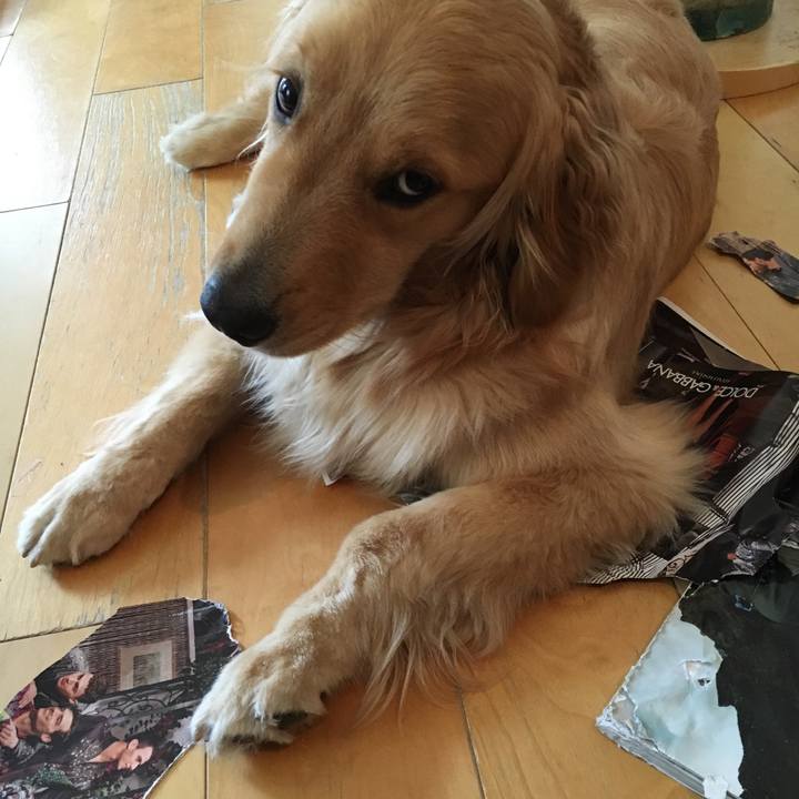 8c7548f4 fc87 40ab ac89 3e6bd82b781c