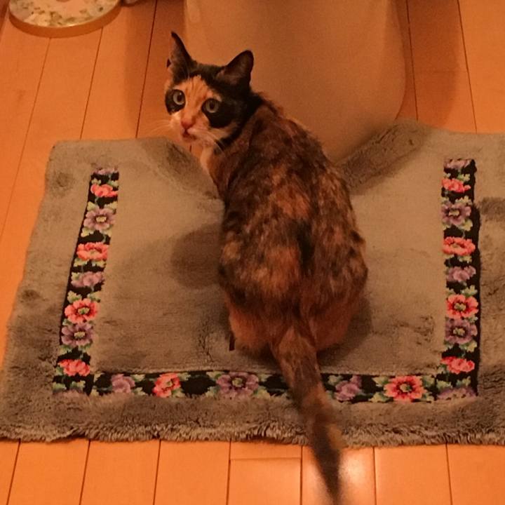 8c7552d1 bf5a 43dd a6e3 31ac29e681f1