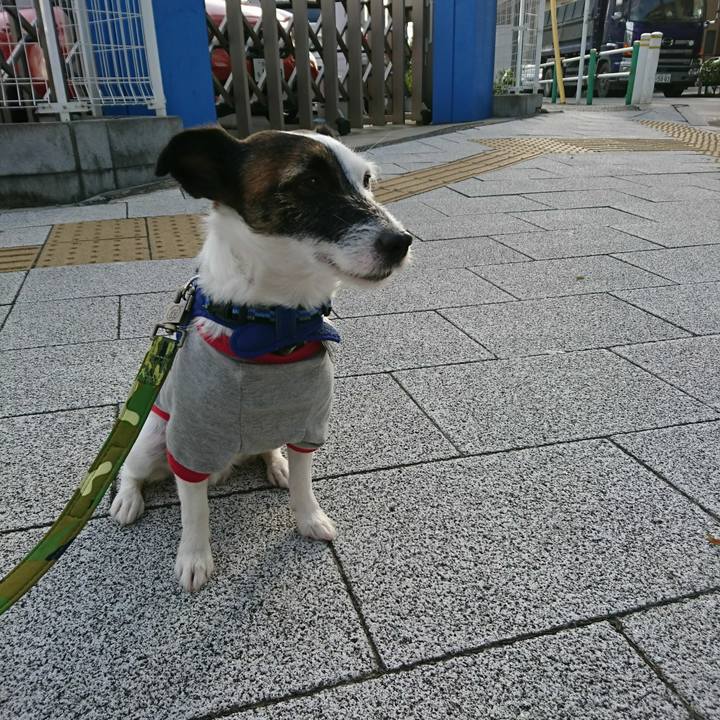 8c756ee1 42f3 4505 99db bca31e594711