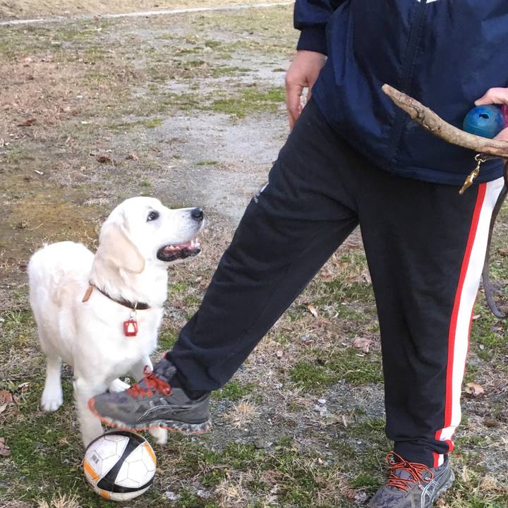 8c759c01 e639 4fd9 b004 5a5c49cf7920