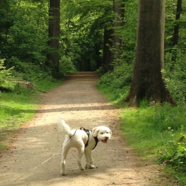 8c76151d c4a1 44c5 997f 99aa1c9a9457