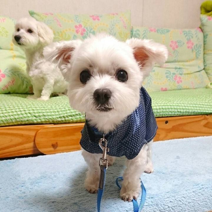 8c76c784 1ad4 493e 9d1a e9090d4d5525