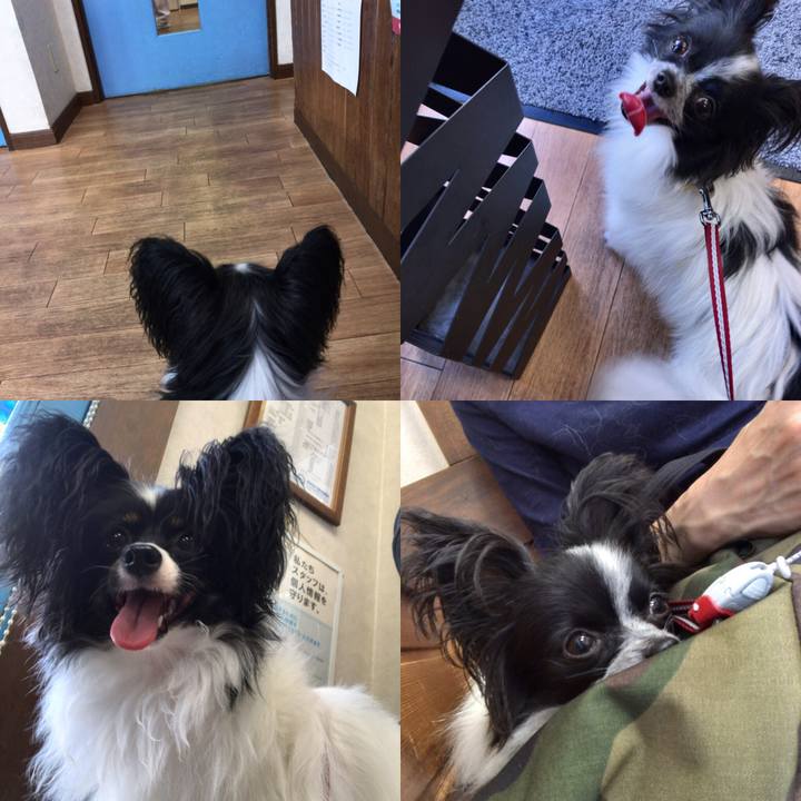 8c76e1c8 72e8 4d27 a9b3 b970d33bb131