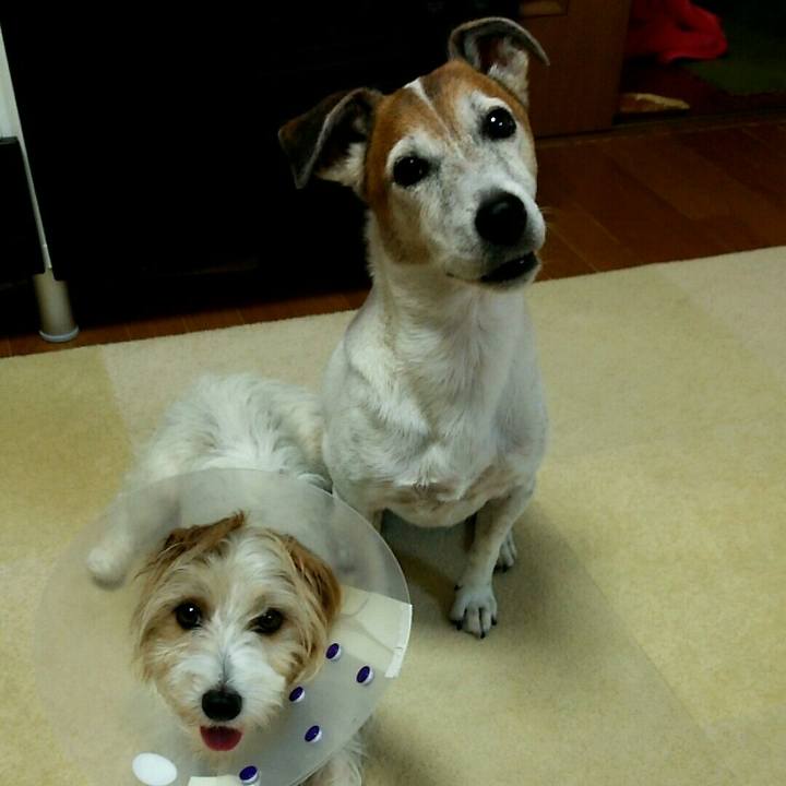 8c779368 943b 4309 9eba af8a6c4d2a59