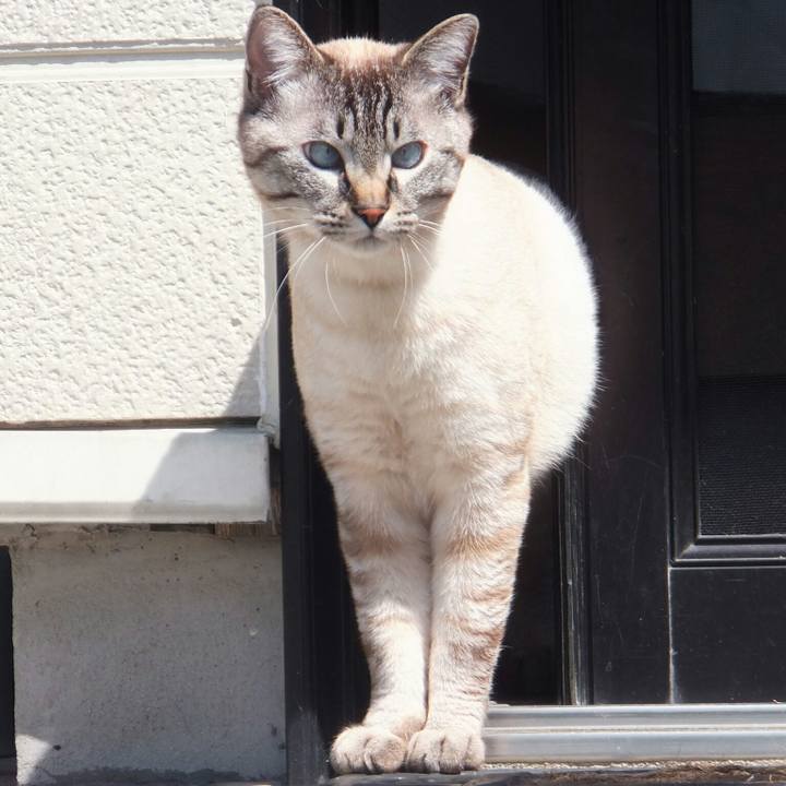 8c77950a d19a 4d37 8a44 971b2f2917ae