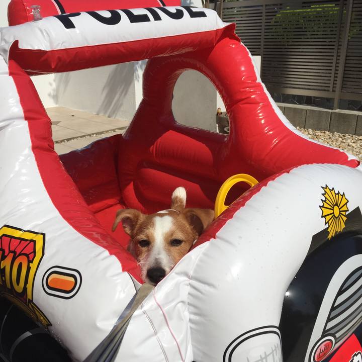 8c781171 1bc1 47e4 a48c 1d38f7959dfa