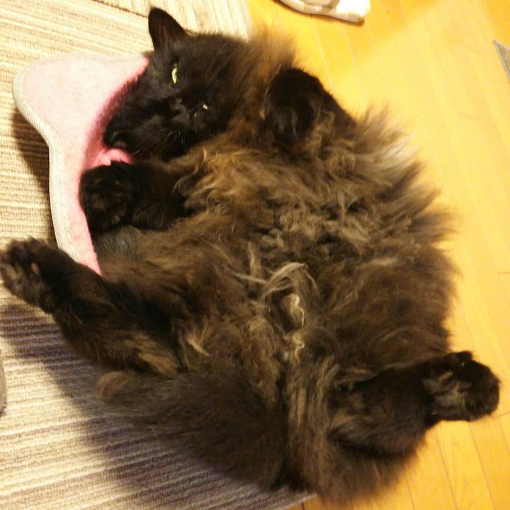 8c78c79b 5308 481e a07f b324c1f9113c