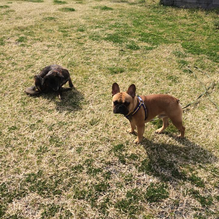 8c78d2c5 2193 4231 9357 a3d734ac746a