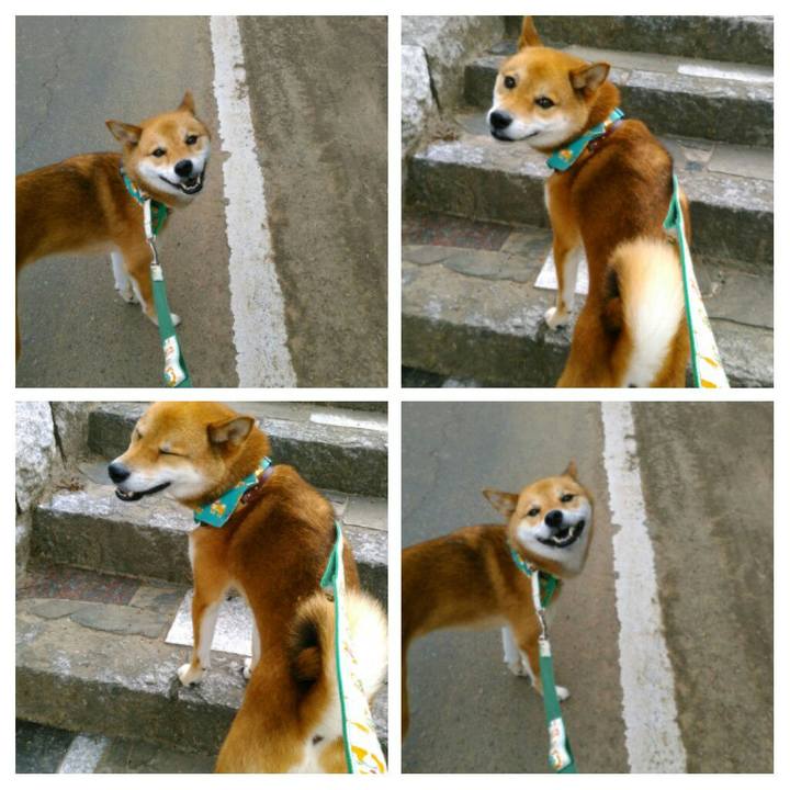 8c7a3e40 9308 4ce2 a570 d8f02b411b82