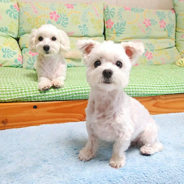 8c7b114b b171 4351 a99b eefce6d9850d