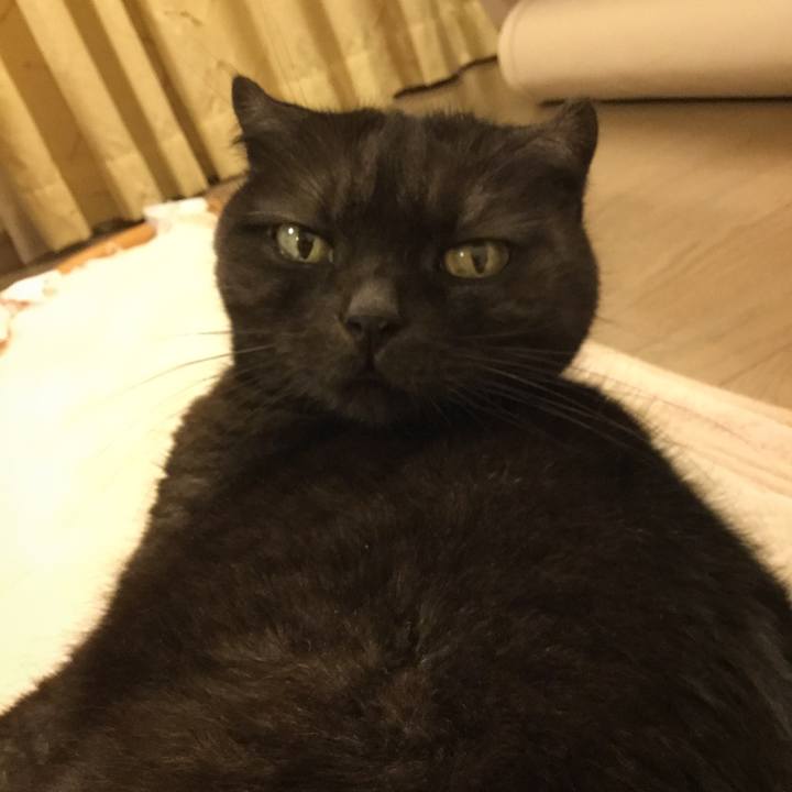 8c7b4eb1 c494 48a6 b89a 37c2fc4e6373