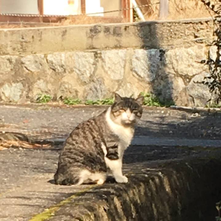 8c7beff6 60df 4da3 b9bb adc8928ef414