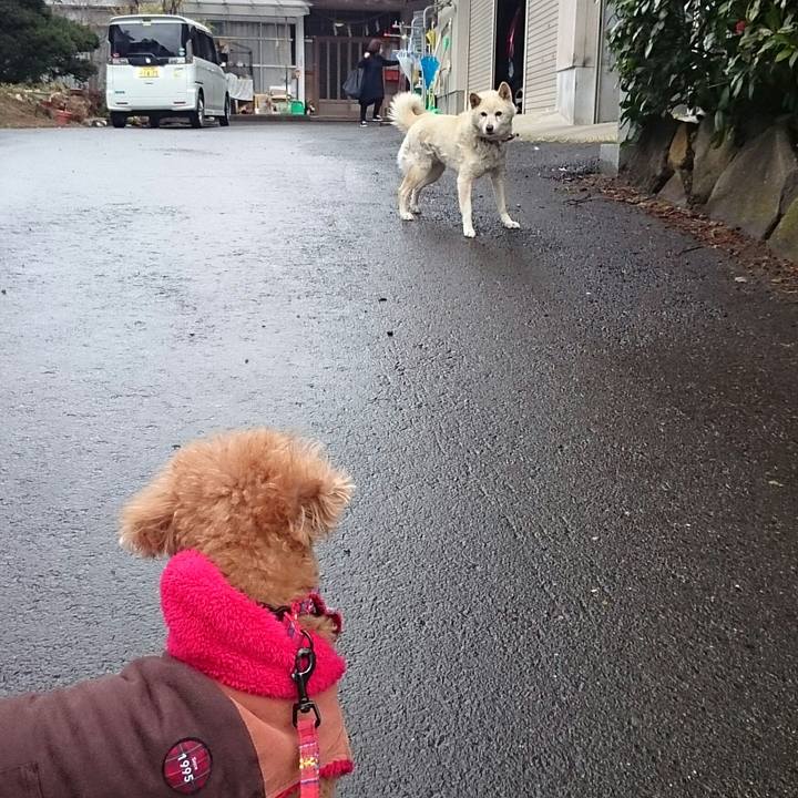 8c7c2898 7381 4d6d 9497 5671e2d28b22