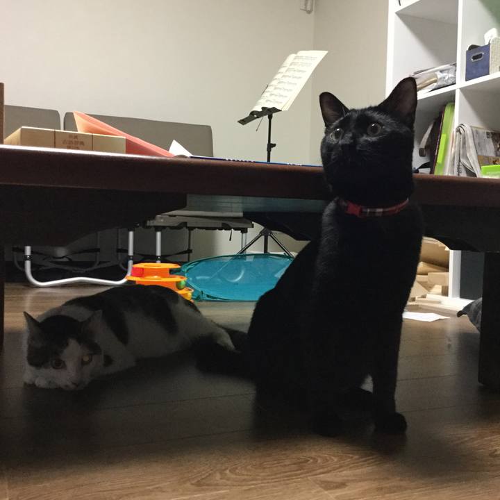 8c7c6bdf 60f0 4451 a758 39a48e323eae