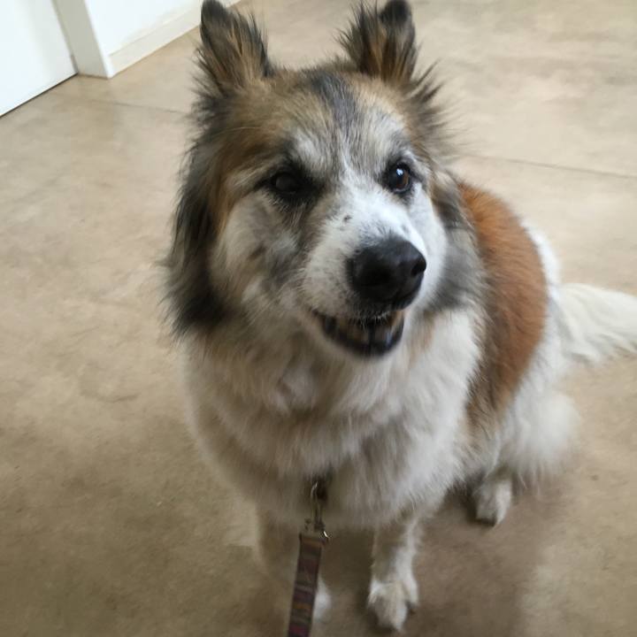 8c7cf8d9 41ef 4f7e b7a8 c898619abc22