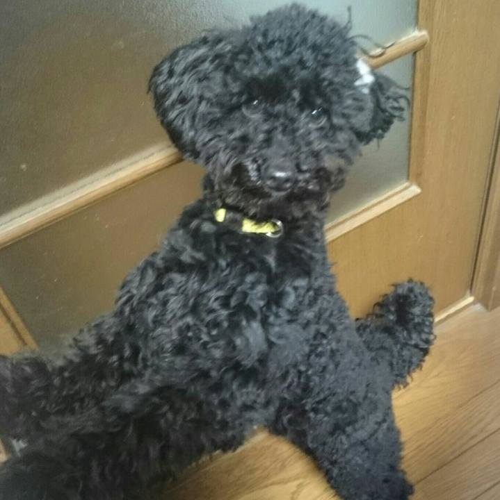 8c7d0ce3 f9fa 4b30 a380 12bf879cce70