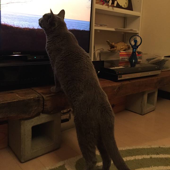 8c7d1f9d a9c8 48c6 a159 5ba4d473a0c0