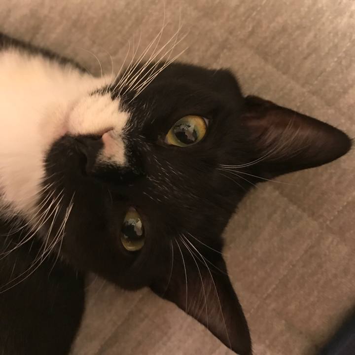 8c7d902a 9c0a 49b2 b56a 4eec0a26198d