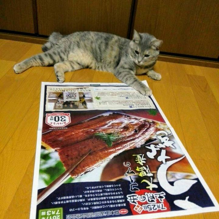 8c7dd0b0 034f 4000 ba08 2f20603c6655