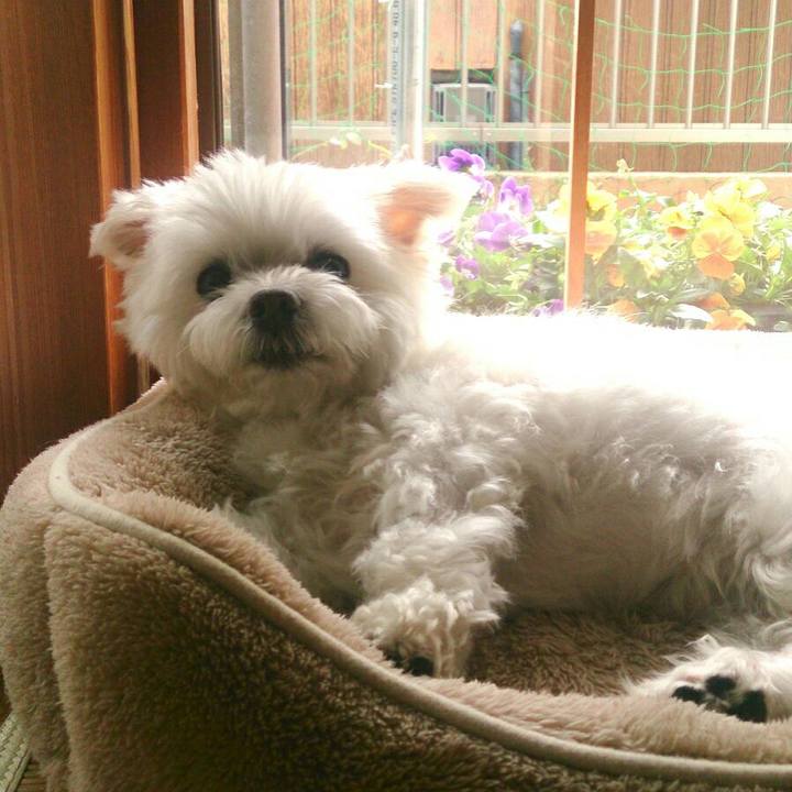 8c7e28fb 22f4 4bbe 819c 3e1a8d616ed2