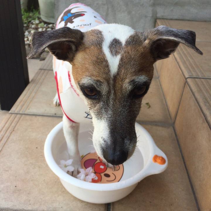 8c7e37a8 23ff 4927 a4fd a636897accde