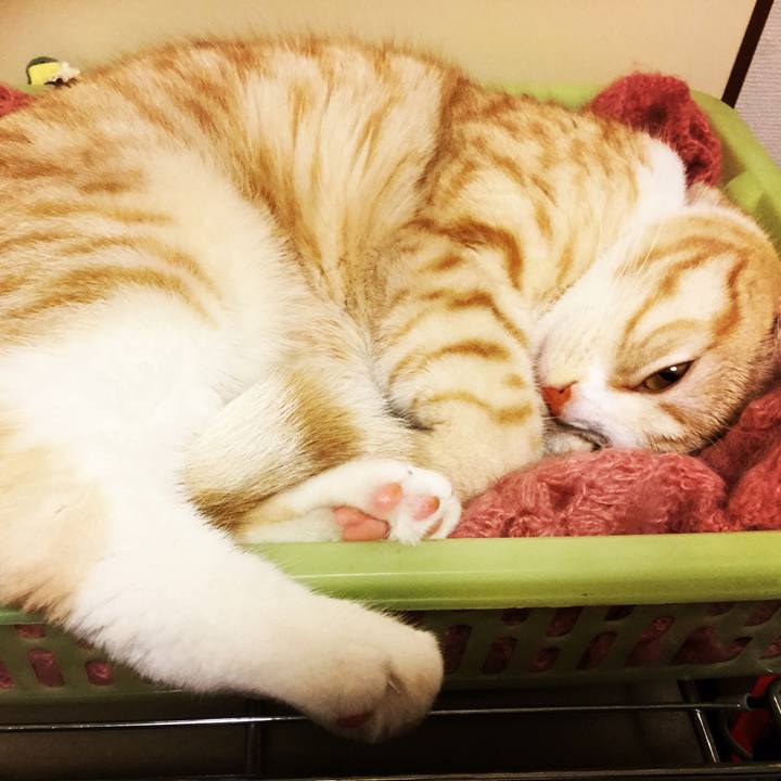 8c7e6147 b0a7 43ed 8957 2bda6d41e0c6