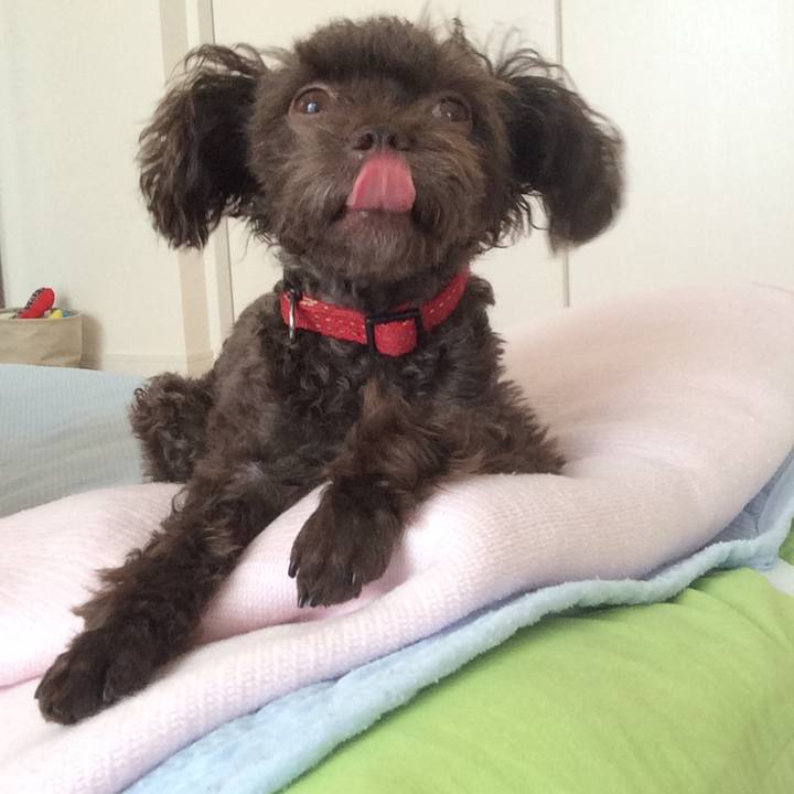 8c7ea0d5 a02c 4bc4 b5c8 23b350c09fa3