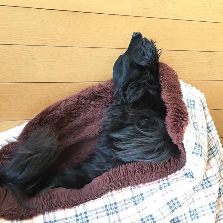 8c7eee65 ef56 48c4 b07a 0bde008d76ea