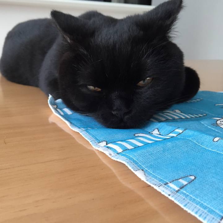 8c7f304f 4ad6 4393 93e8 2b6df2bb10e6