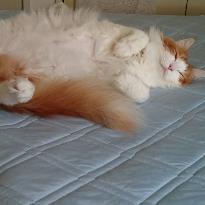 8c7f5618 7fad 4dc8 ac7c 3c7e5ce08193