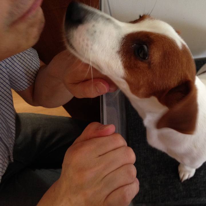 8c8004e5 9140 4f31 b66f b5aa7163a098