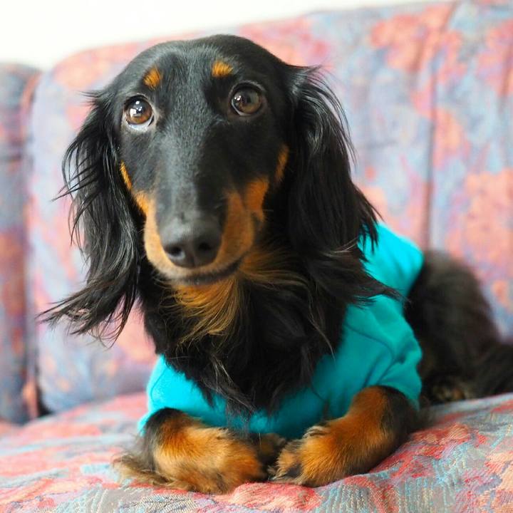 8c80925b d2f7 4fce bf3c 742273a098da