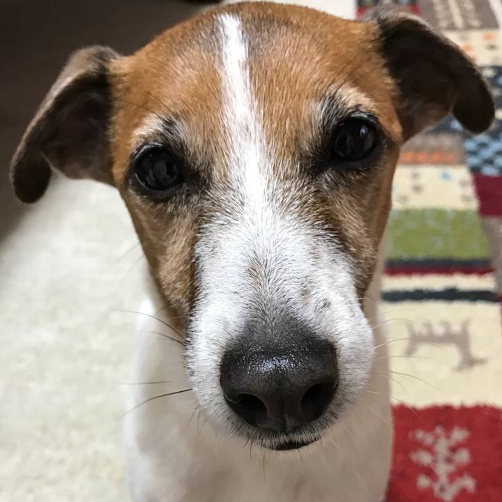 8c8127a3 d40b 48b2 87d5 5c16747a37f7