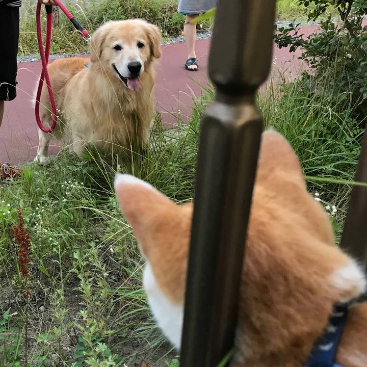 8c818b41 531b 4ea6 9cc1 97733c52929a