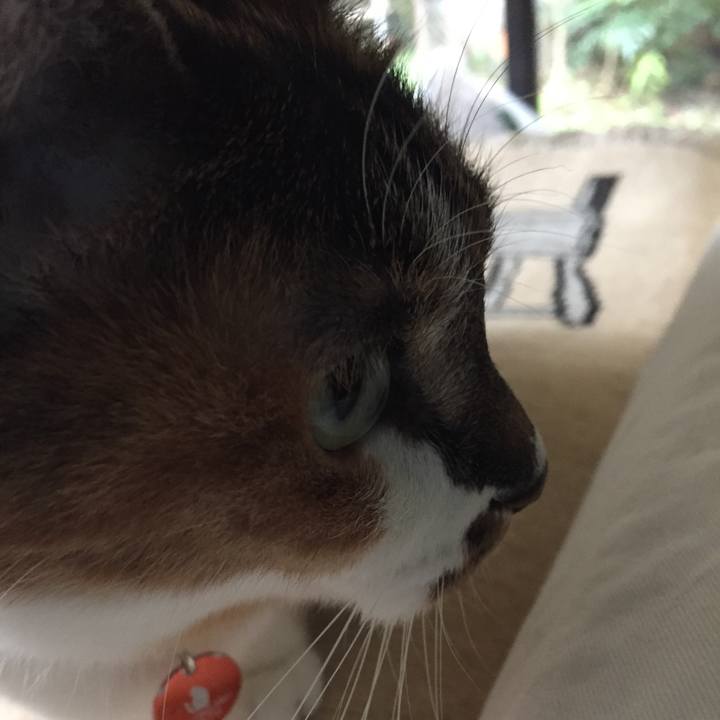 8c81c983 5e2f 4dbf b39a b94d04bccc3e