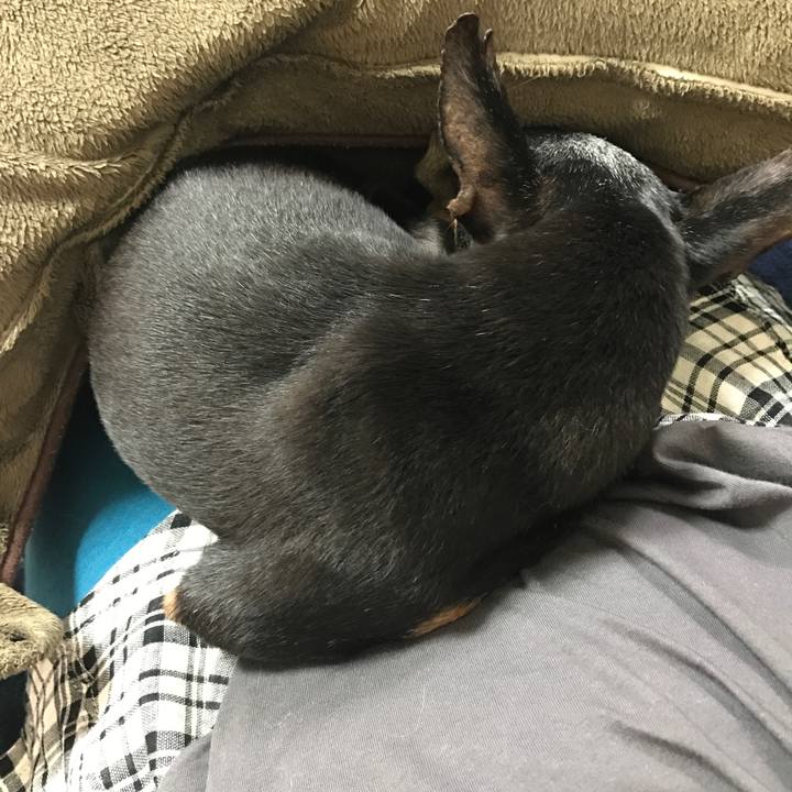 8c8233b2 efae 4ade aeef 730e42563ac9