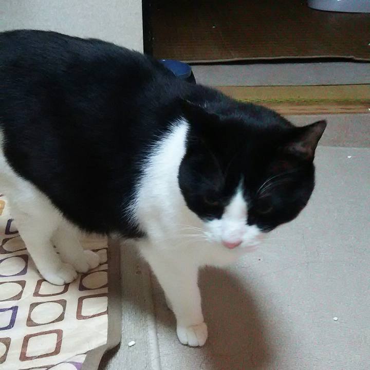 8c8264c9 83f3 4ff6 9451 b5e2525b3997