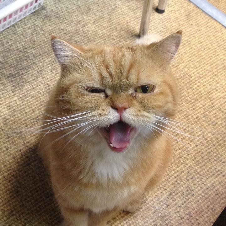 8c834038 4553 4f1a aedf 60083ea5d5e2