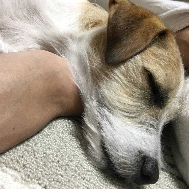 8c835598 bdc5 414f bebe 3b9e776f21d2