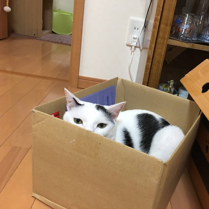 8c835c6f 59dc 4a4e b898 a58e39ae5277