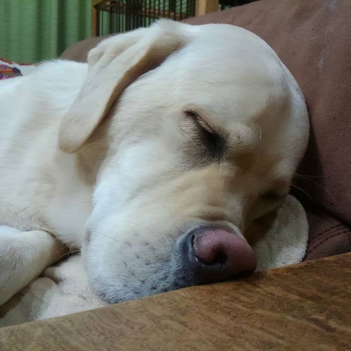 8c8365bb 7e9a 463c 9a5b 25f0eb365e74