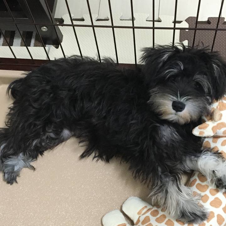 8c837740 889f 4954 99e0 d764c4faac57