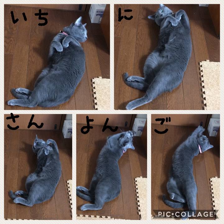 8c850b3f 2a8c 42bb 9b01 cb9ce54f1908