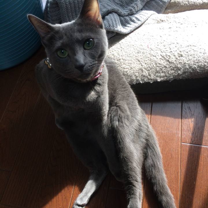 8c8632aa af0b 469f 9a26 dce48b21fd1b