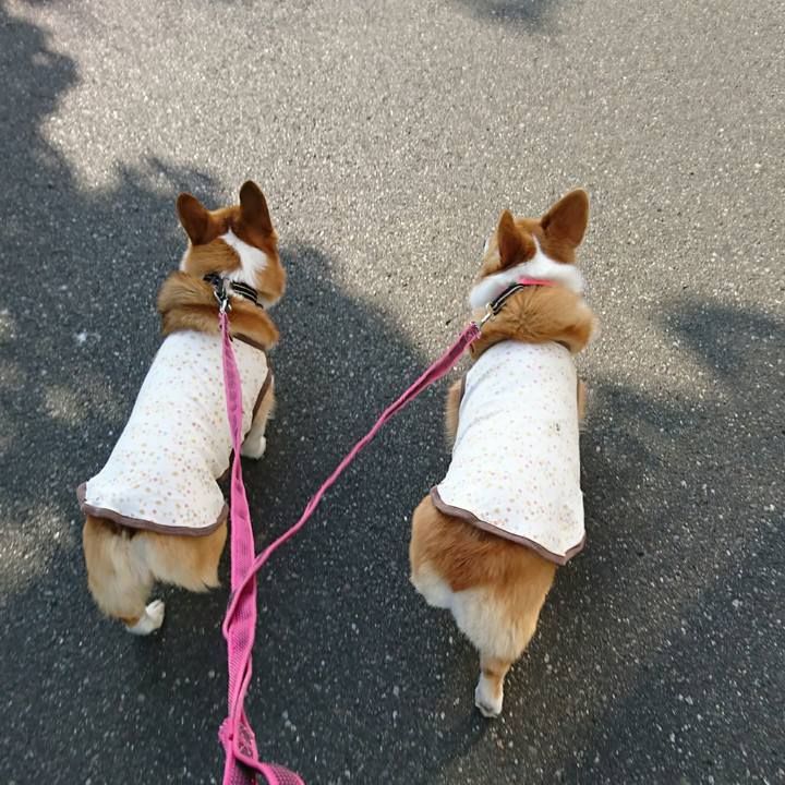 8c865fae 3fdf 400b 82ff f97839d7d4dc