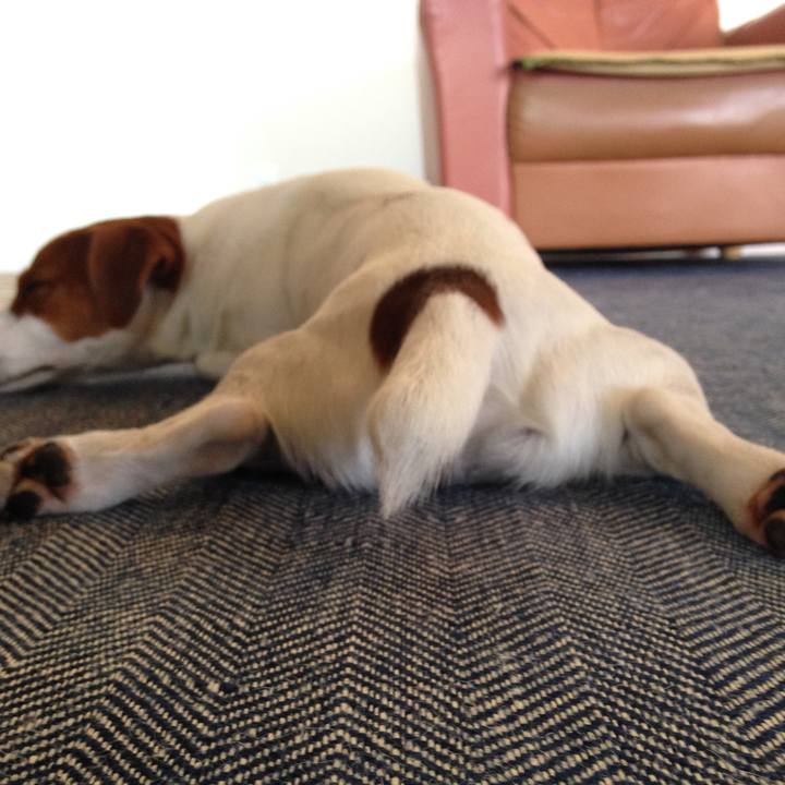 8c86b5ce 1b5d 4256 a30e da2928f215f4