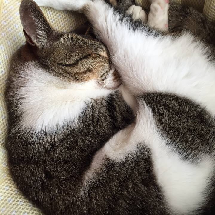 8c870839 8dbf 472a 9b4f 756345e9501d