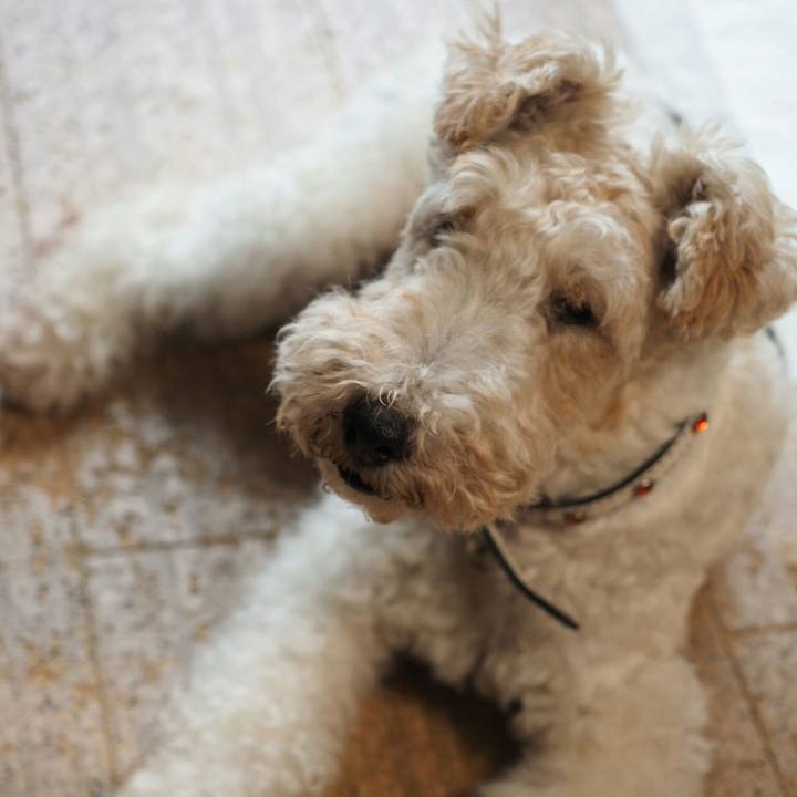 8c873ce9 1c60 4d9c 904f b95ab6bbc132