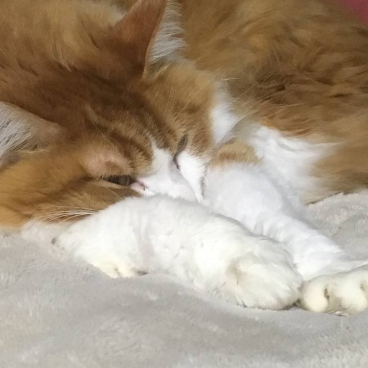 8c87eff0 8d27 4b17 bac2 947db1e4b86f