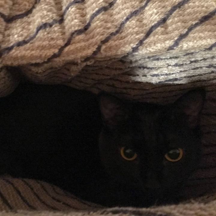 8c881fb6 dd0a 445f 9a5e bfeeb1e62f78